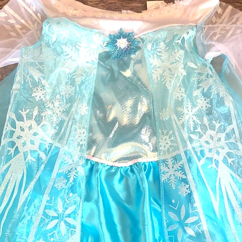 Disney's Frozen Elsa dress